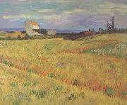 Vincent Van Gogh, Wheat Field (nn04)